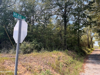 0 Gladhurst Rd, Magnolia, MS 39652 - photo 2