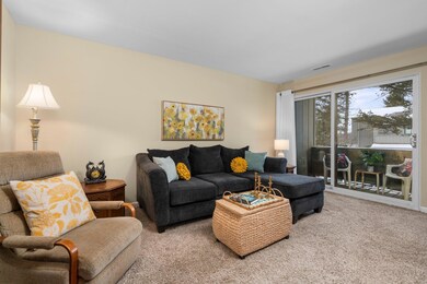 29-web-or-mls-DSC03313