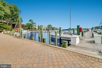 790 Fairview Ave unit E, Annapolis, MD 21403 - photo 3