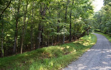 Additional View