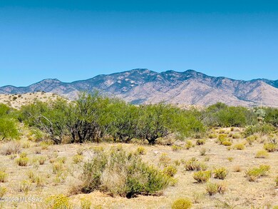 IMG_4093