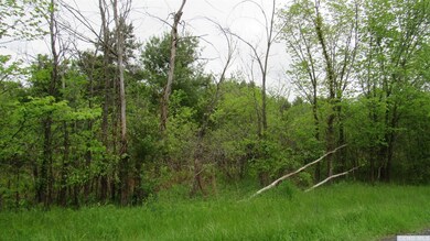 0 Route 385 unit 126506, Coxsackie, NY 12051 - photo 2