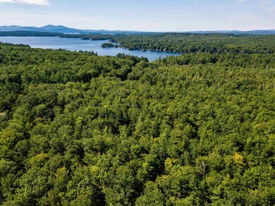 00 Governor Wentworth Hwy unit 160/002/000, Moultonboro, NH 03254 - photo 4