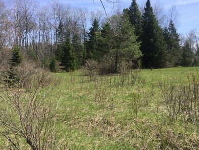 Sturgeon River building site