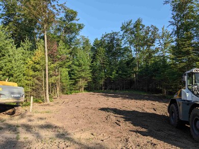 1106 Red Hawk Ct unit Lot 49, Biron, WI 54494 - photo 2