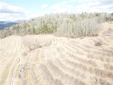 999999 Chimney Rock Rd, Hendersonville, NC 28792 - photo 4