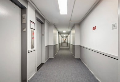 1450 E 55th St unit 923S, Chicago, IL 60615 - photo 3