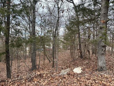 Lot 126 & 127 Mockingbird Ct Ridgedale