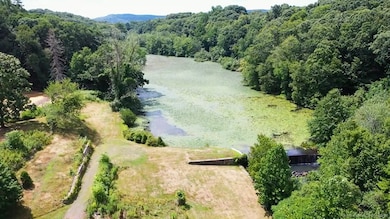 Lot has open face to the pond on right side of photo