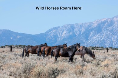 330 Veris Ct unit 1, Gardnerville, NV 89410 - photo 7