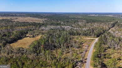 0 Stewart Cemetery Rd, Alma, GA 31510 - photo 4