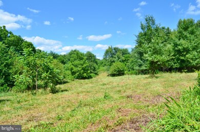 95 Rockville Rd, Quicksburg, VA 22847 - photo 3