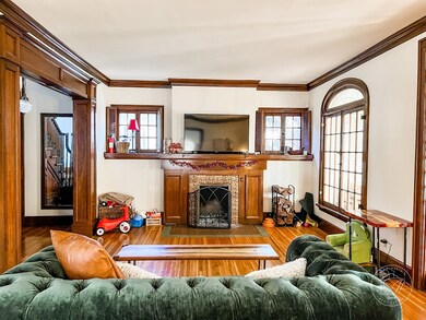 Gas Fireplace Insert 