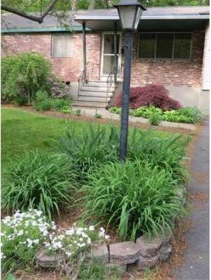 37 Lyman Rd, Framingham, MA 01701 - photo 4