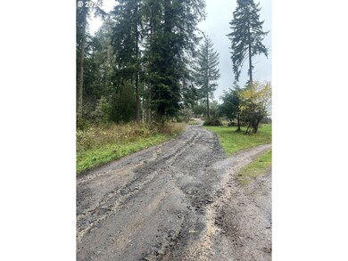 82964 Hungry Hill Rd, Creswell, OR 97426 - photo 3