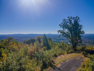 Lot 80 Spring Pond Trail, Fancy Gap, VA 24328 - photo 5