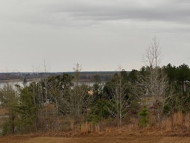 Lots Lott 19 & 20, Bainbridge, GA 39817 - photo 4