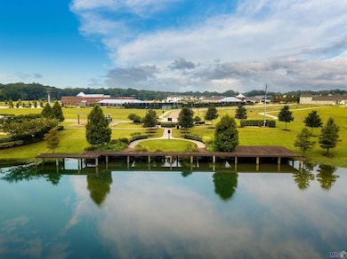 19738 Barnett Rd, Zachary, LA 70791 - photo 3