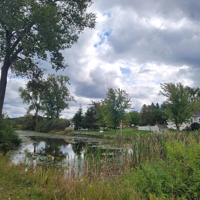 V/L Round Lake Hwy, Manitou Beach, MI 49253 - photo 3