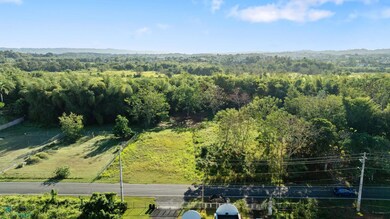 KM HM 0.8 Bo Carrizal, Aguada, PR 00602 - photo 5