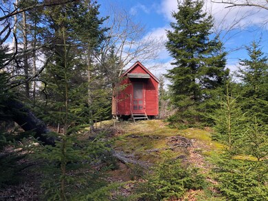 BUNK HOUSE