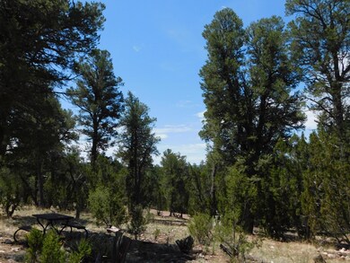 1919 Elk Rd2 (6)