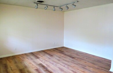 610 W Travis St, Fredericksburg, TX 78624 - photo 5