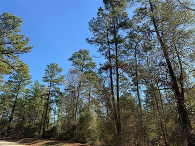 T-2 Eldridge Rd, Cleveland, TX 77328 - photo 6