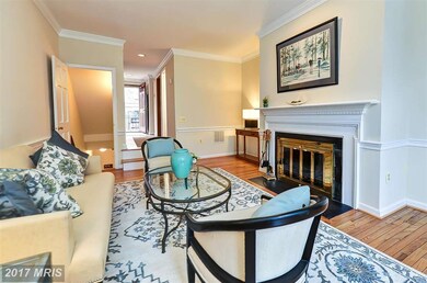 1217 Michigan Ct, Alexandria, VA 22314 - photo 6