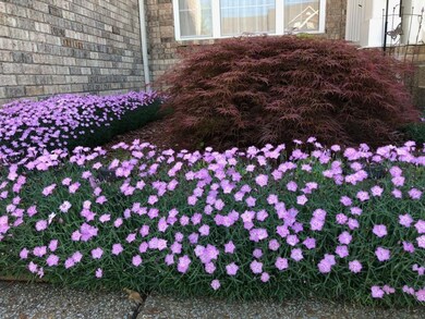 Front yard during the Spring and Summer