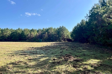 01 Stampley Rd, Roxie, MS 39661 - photo 6