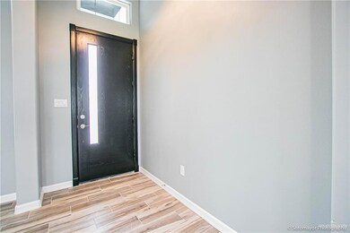 907 Thomas Ln, Alamo, TX 78516 - photo 3