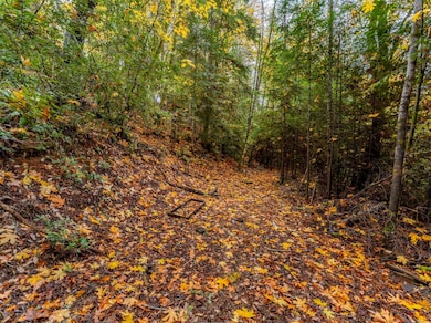 487 Montgomery Ave, Glendale, OR 97442 - photo 7