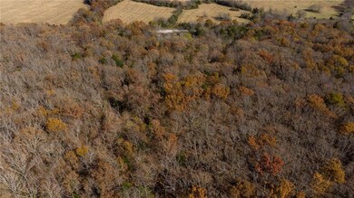 3203 S Black Oak Rd, Fayetteville, AR 72701 - photo 7