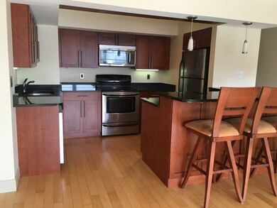 Washington on the Square unit 1102, Brookline, MA 02446 - photo 3