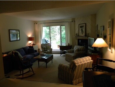 20 Avalanche Way unit 23, Waterville Valley, NH 03215 - photo 2