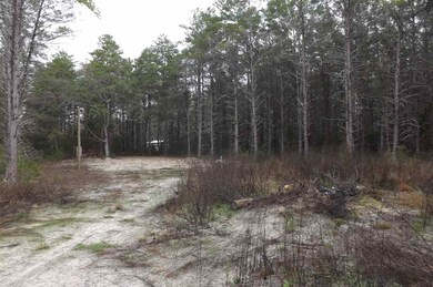 0 Seameadows Dr unit 314858, Perry, FL 32348 - photo 4