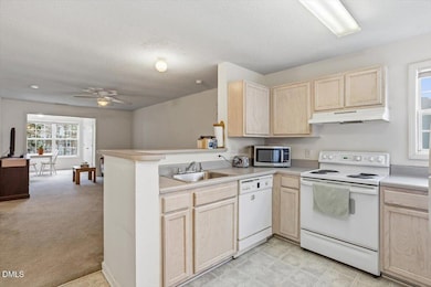 2031 Wolfmill Dr unit 204, Raleigh, NC 27603 - photo 3