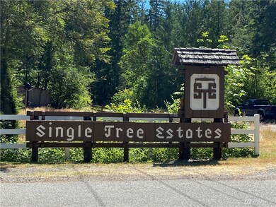 18528 Surcingle Ct SE, Yelm, WA 98597 - photo 7