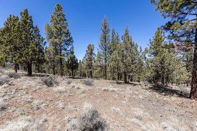 Lot 51 North Rim