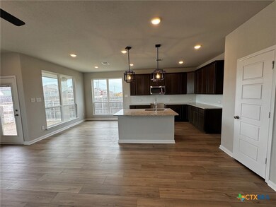 1880 Longmire Loop, Temple, TX 76502 - photo 6