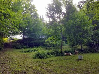 20-Backyard-001