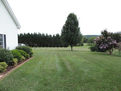 Red Clover yard