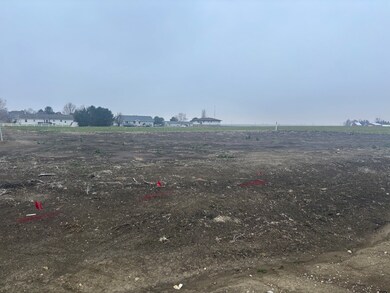 unlisted-address, Gridley, IL 61744 - photo 2