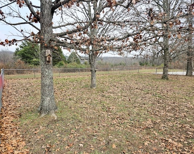 6163 US Highway 60, Mountain View, MO 65548 - photo 2