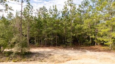 7 8 9 10 Tarpon Lane, DeFuniak Springs