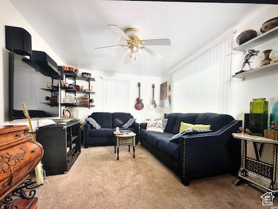 3628S House new carpet