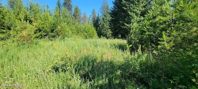 pic 4