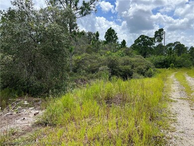 429 Blue Heaven Dr, Lake Placid, FL 33852 - photo 2