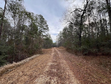 107 Fairview Dr, Petal, MS 39465 - photo 2